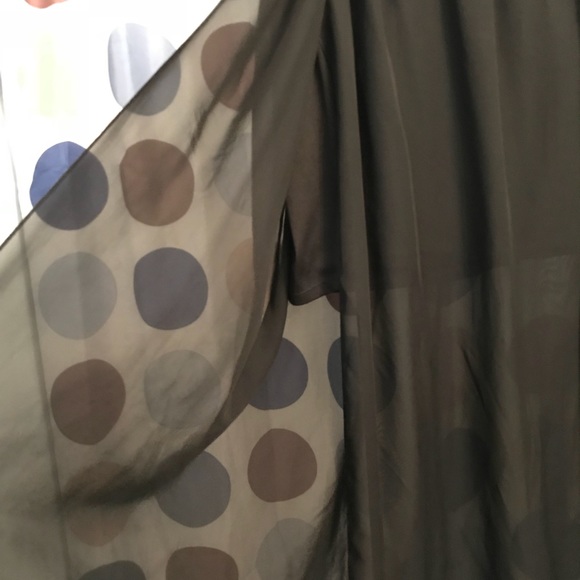 Sheer Chiffon Maxi Skirt - Picture 2 of 3